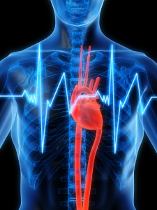 Cardiology Marketing Strategies for Success